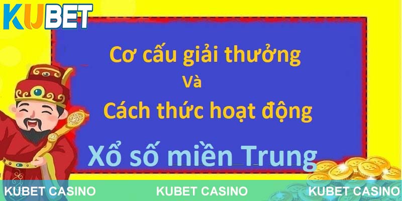 Cơ cấu giải cùng cách thức hoạt động 